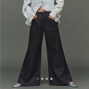 Anthropologie Pilcro The Adi Sparkle Mid Rise Flare Pants Jeans NWT 29